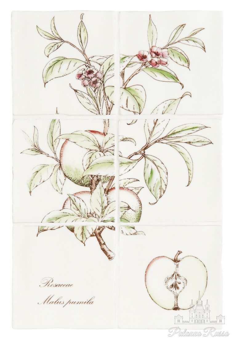 Керамическая плитка, для стен, декор из 6 плиток, Botanical Fruit/ W. HP2526, Winchester