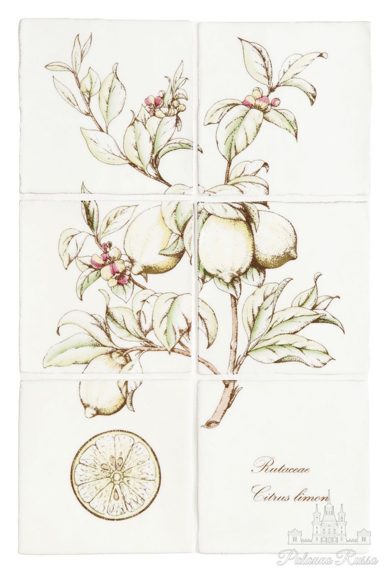 Керамическая плитка, для стен, декор из 6 плиток, Botanical Fruit/ W. HP2527, Winchester